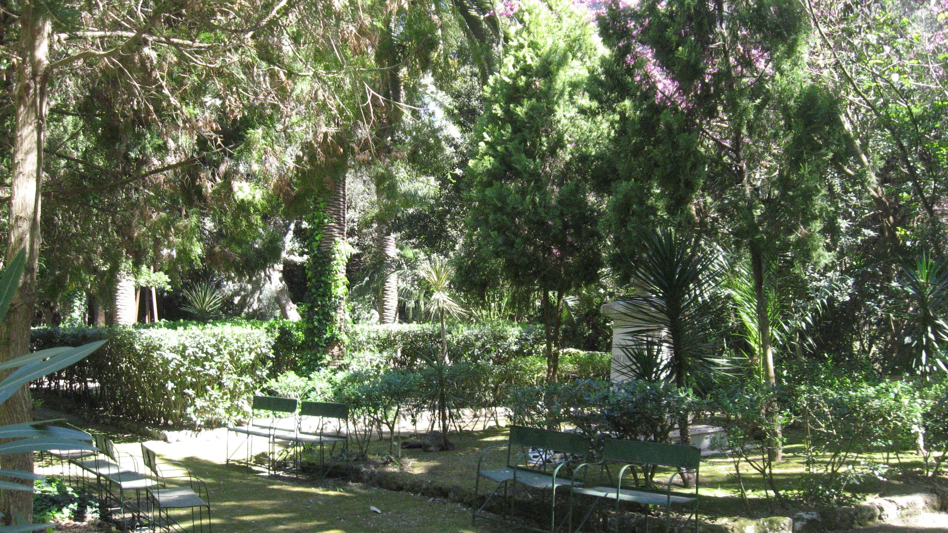 Grand Politi Syracuse